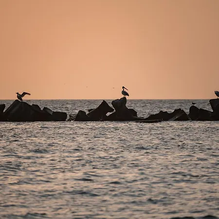 Appart hôtel Riva 4*