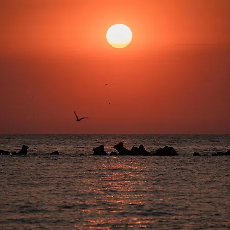 Riva Ξενοδοχείο με διαμερίσματα 4*