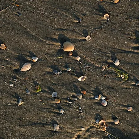 Appart hôtel Riva 4*