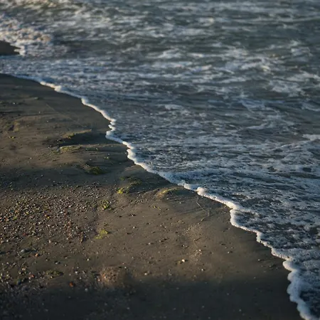 Riva Apartahotel Mamaia