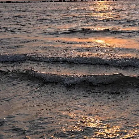 Riva Mamaia