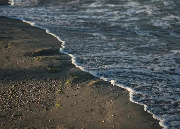 Riva Aparthotel Mamaia